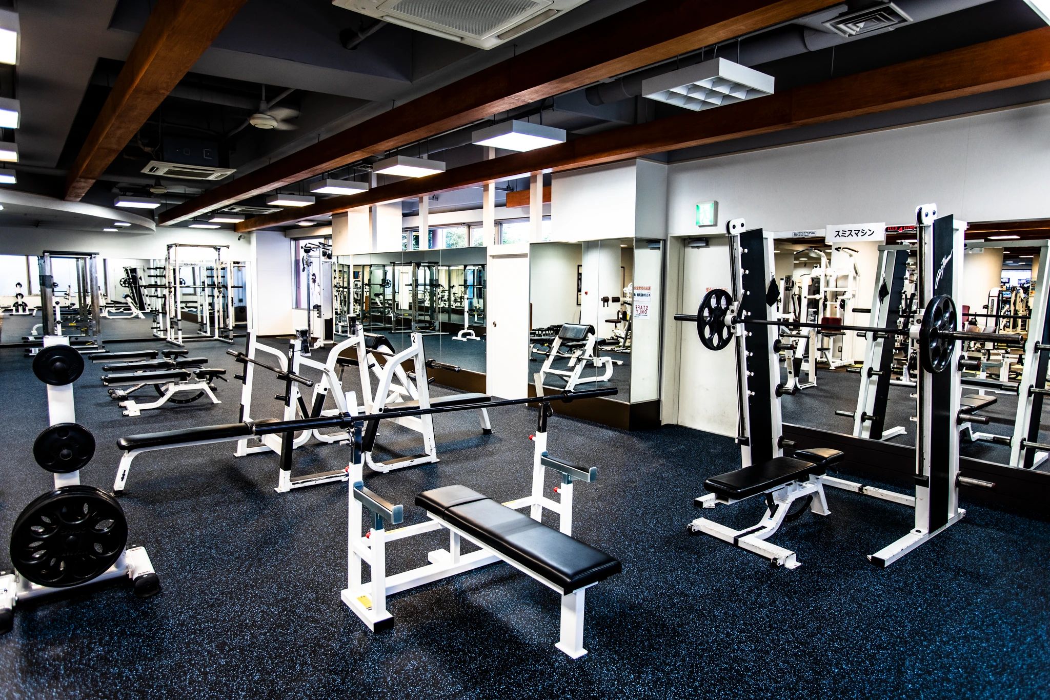 メガロス キッズスイミングスクール 吉祥寺のメイン画像