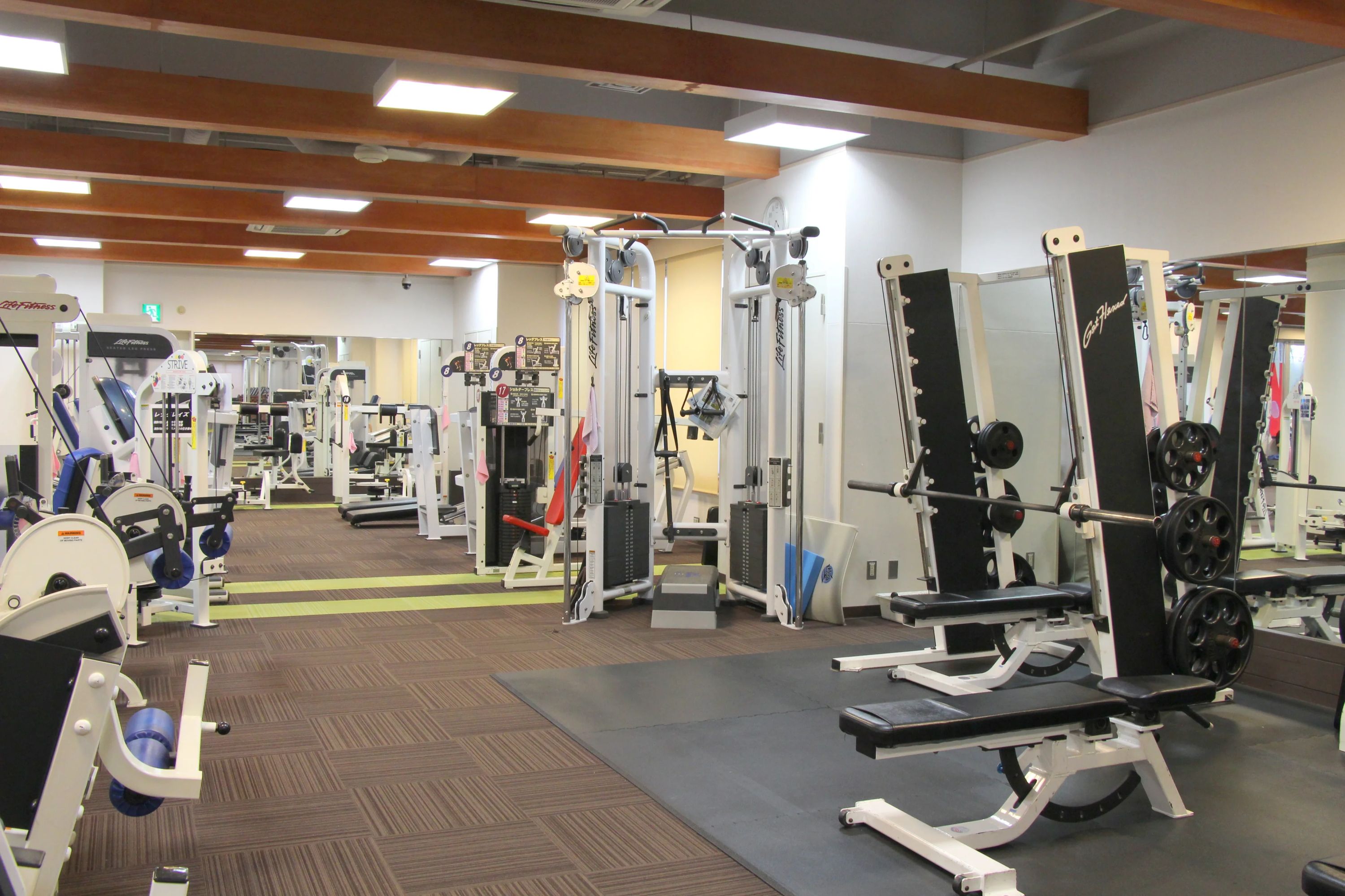 メガロス ベビースイミングスクール 吉祥寺のサムネイル画像 5