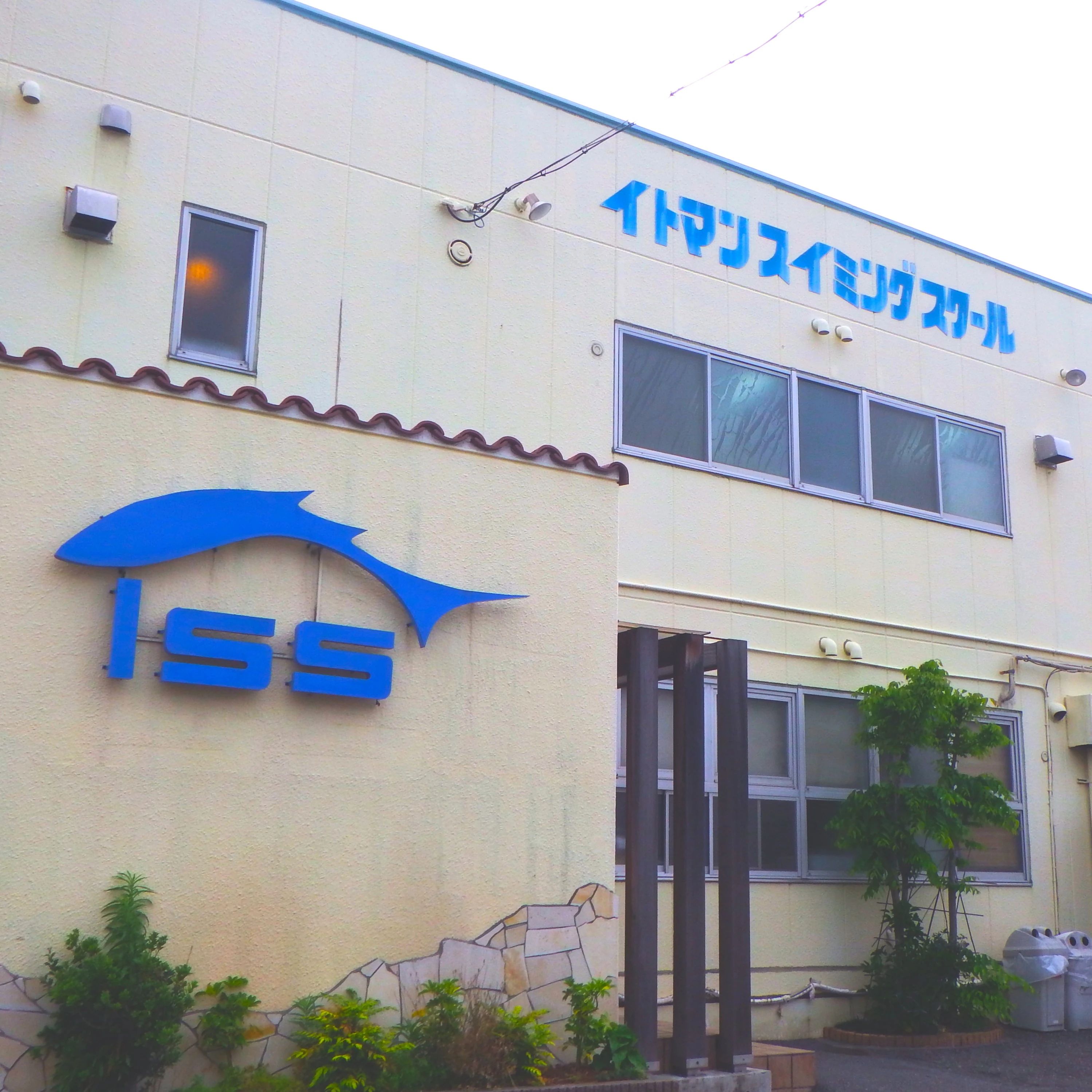 イトマンスイミングスクール 横須賀校のサムネイル画像 3