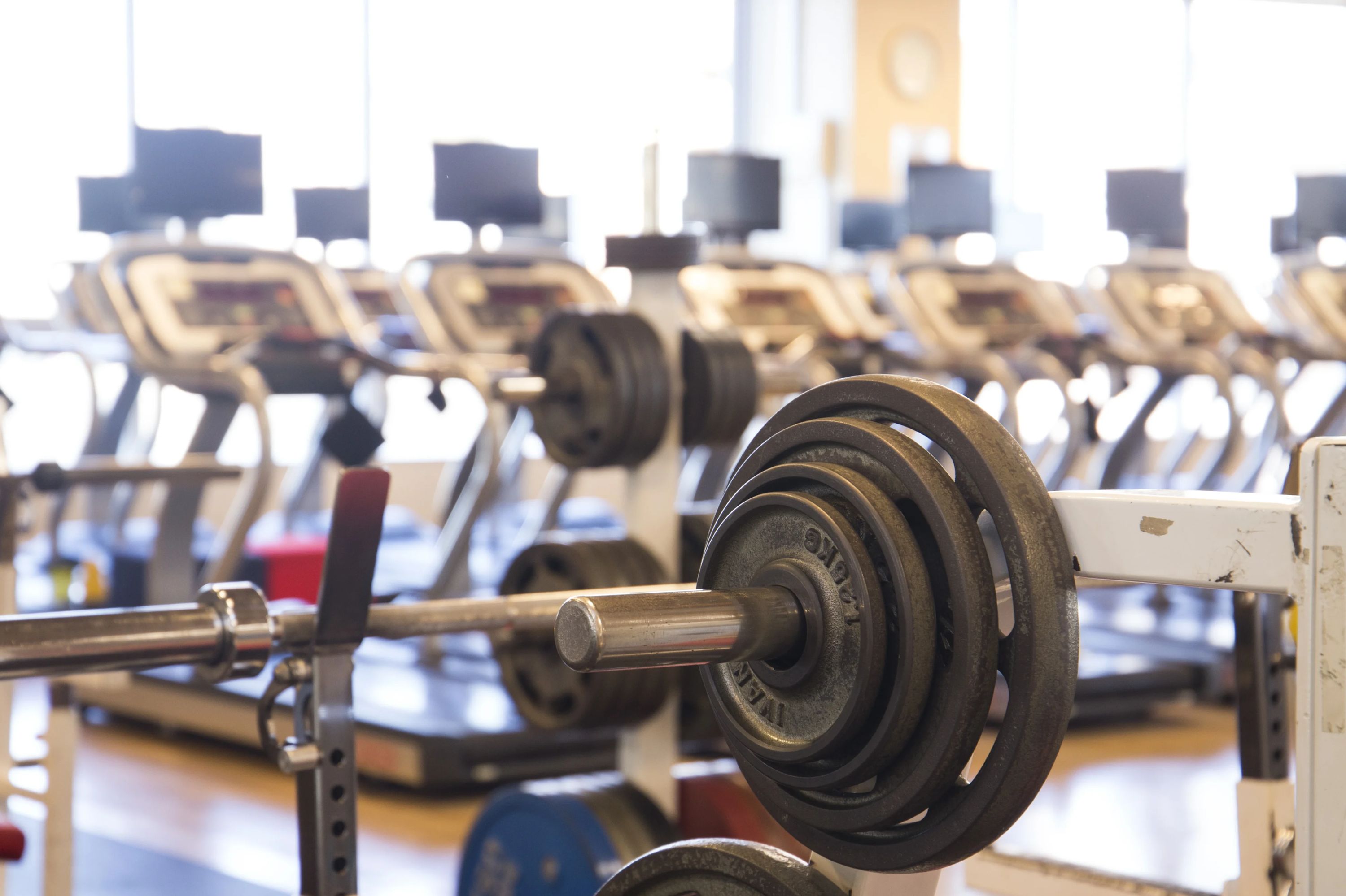 メガロス キッズスイミングスクール 綱島のサムネイル画像 3