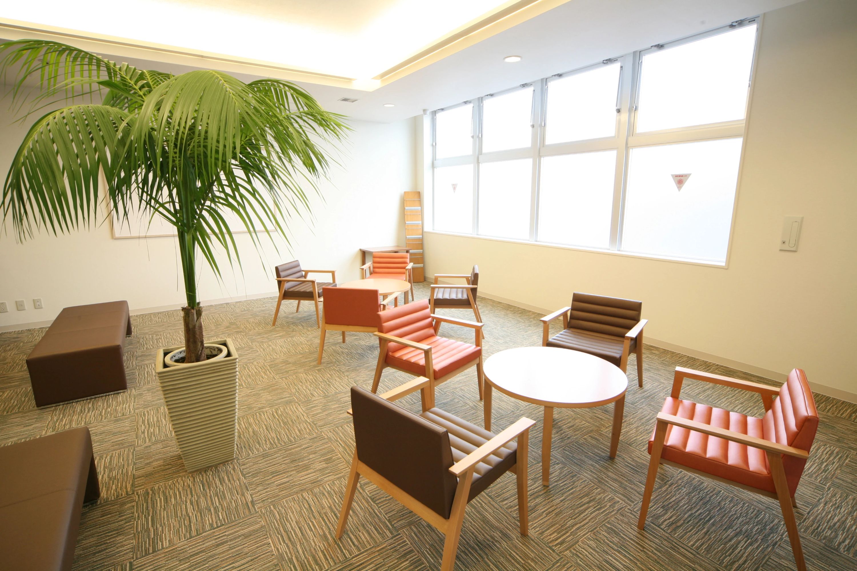 メガロス キッズスイミングスクール 鷺沼のサムネイル画像 5