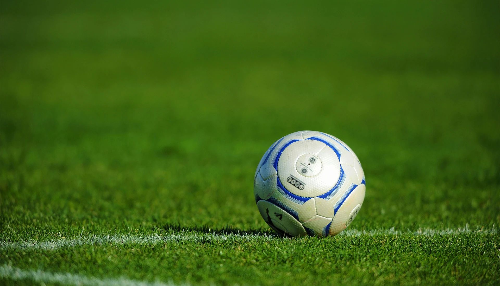 FC PHOENEX(フェニックス) SHINAGAWA 品川区立第一日野小学校のメイン画像