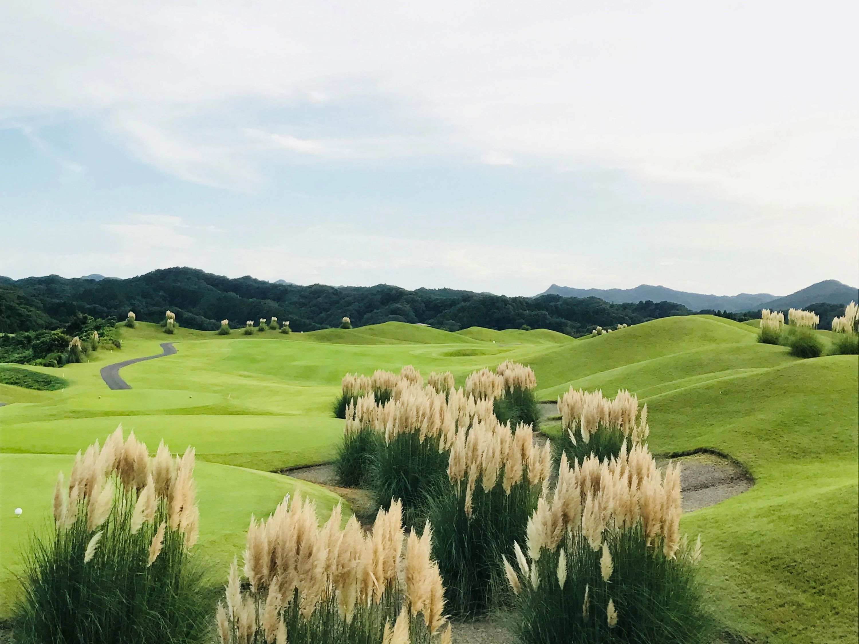 KIDS GOLF by GDO ラウンドレッスン 新君津ベルグリーンカントリー倶楽部のメイン画像