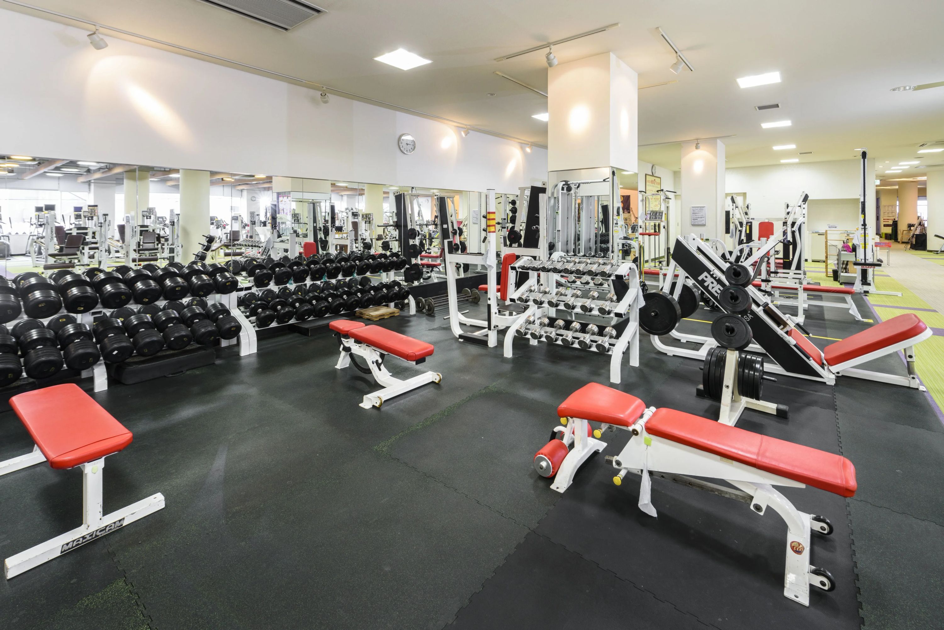 メガロス キッズスカッシュスクール 大和のサムネイル画像 2