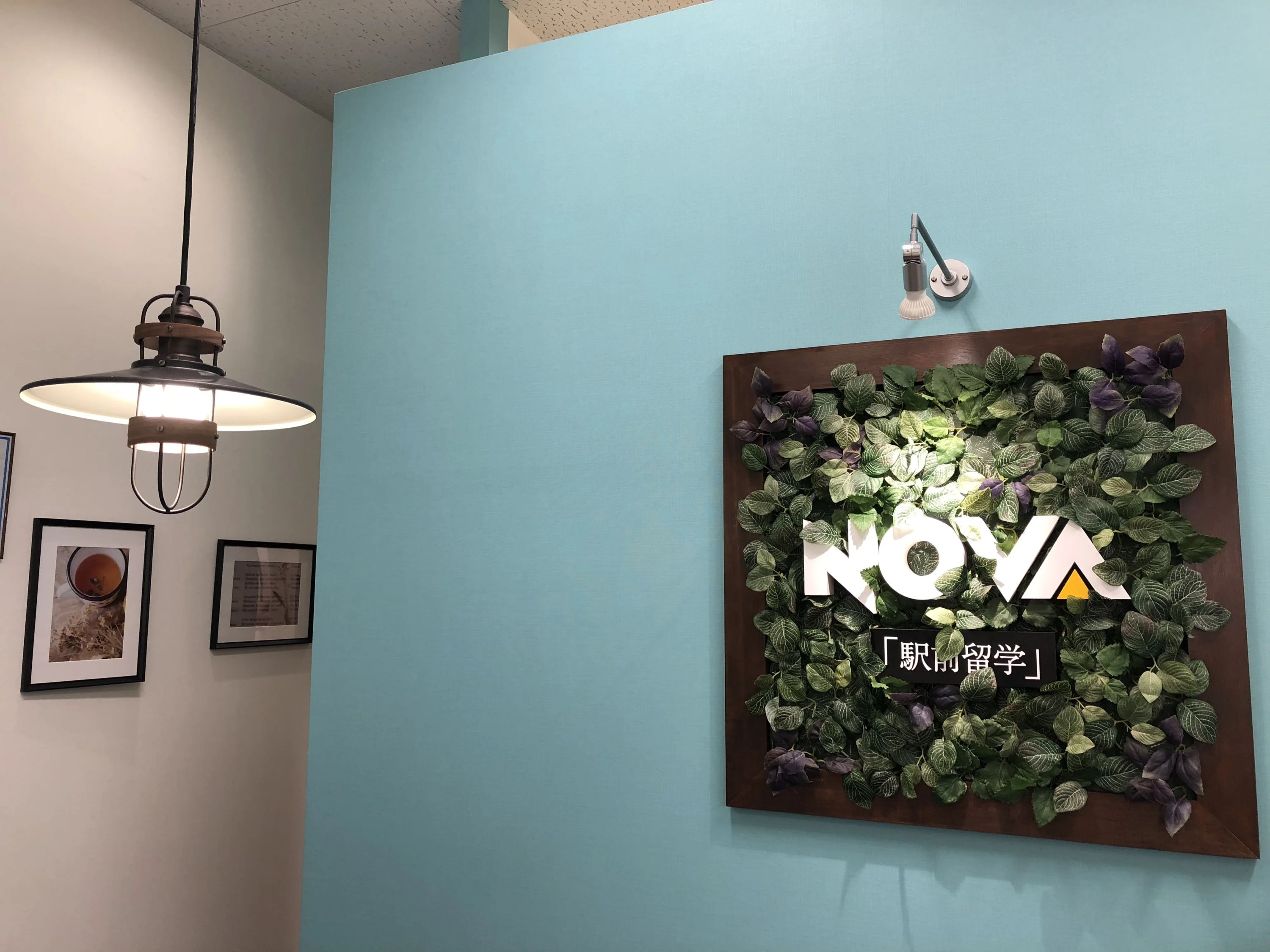 NOVAバイリンガルKIDS 立場イトーヨーカドー校のサムネイル画像 2