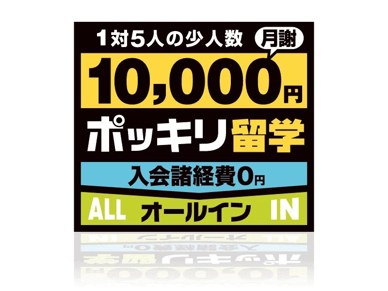 NOVAバイリンガルKIDS 新潟県央イオン校のサムネイル画像 3