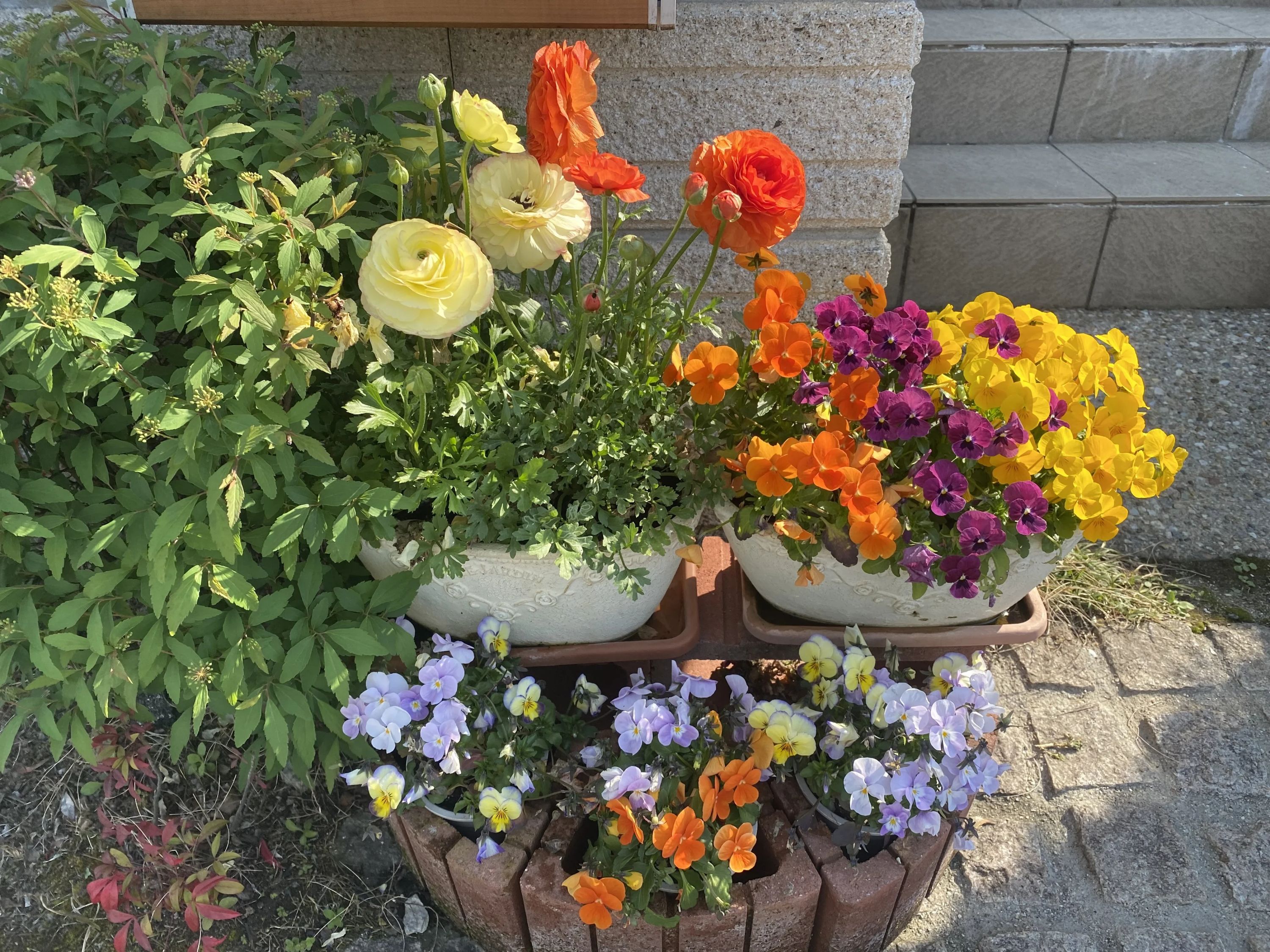 ベネッセの英語教室 BE studio（ホーム校） 中平３丁目教室のメイン画像