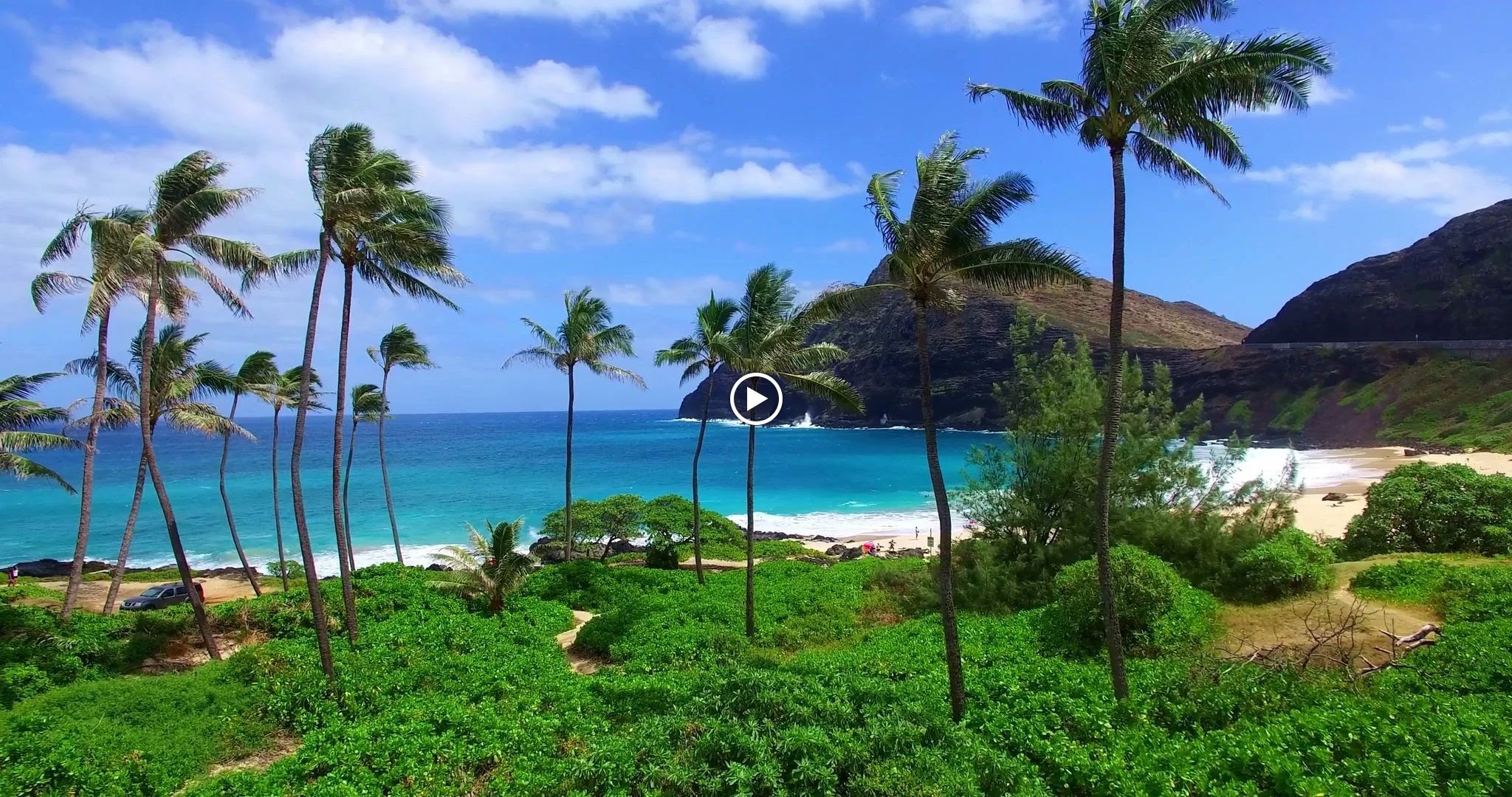 英語アフタースクール アロハキッズ 三田本校のサムネイル画像 3