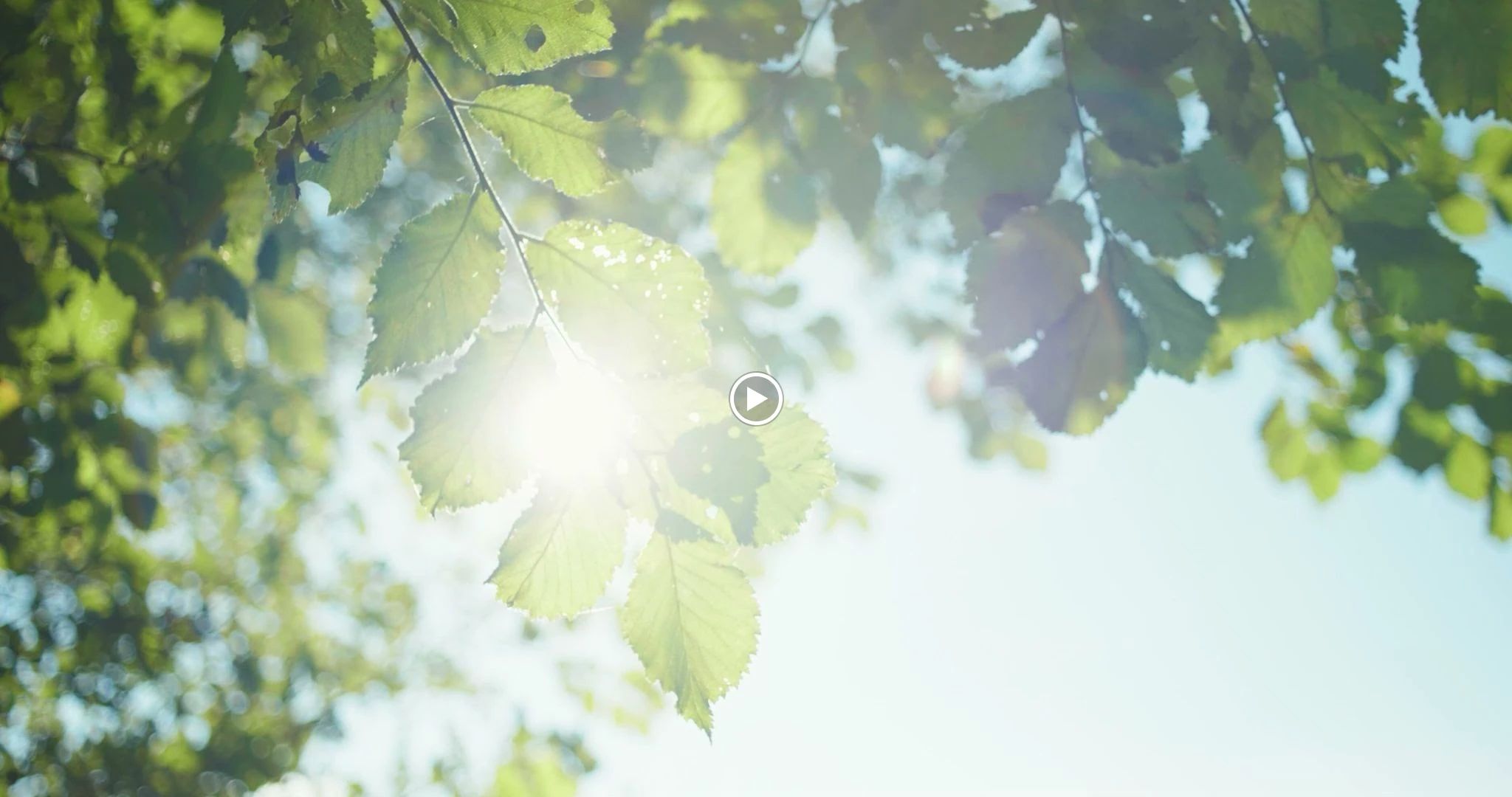 英語アフタースクール アロハキッズ 三田本校のサムネイル画像 5