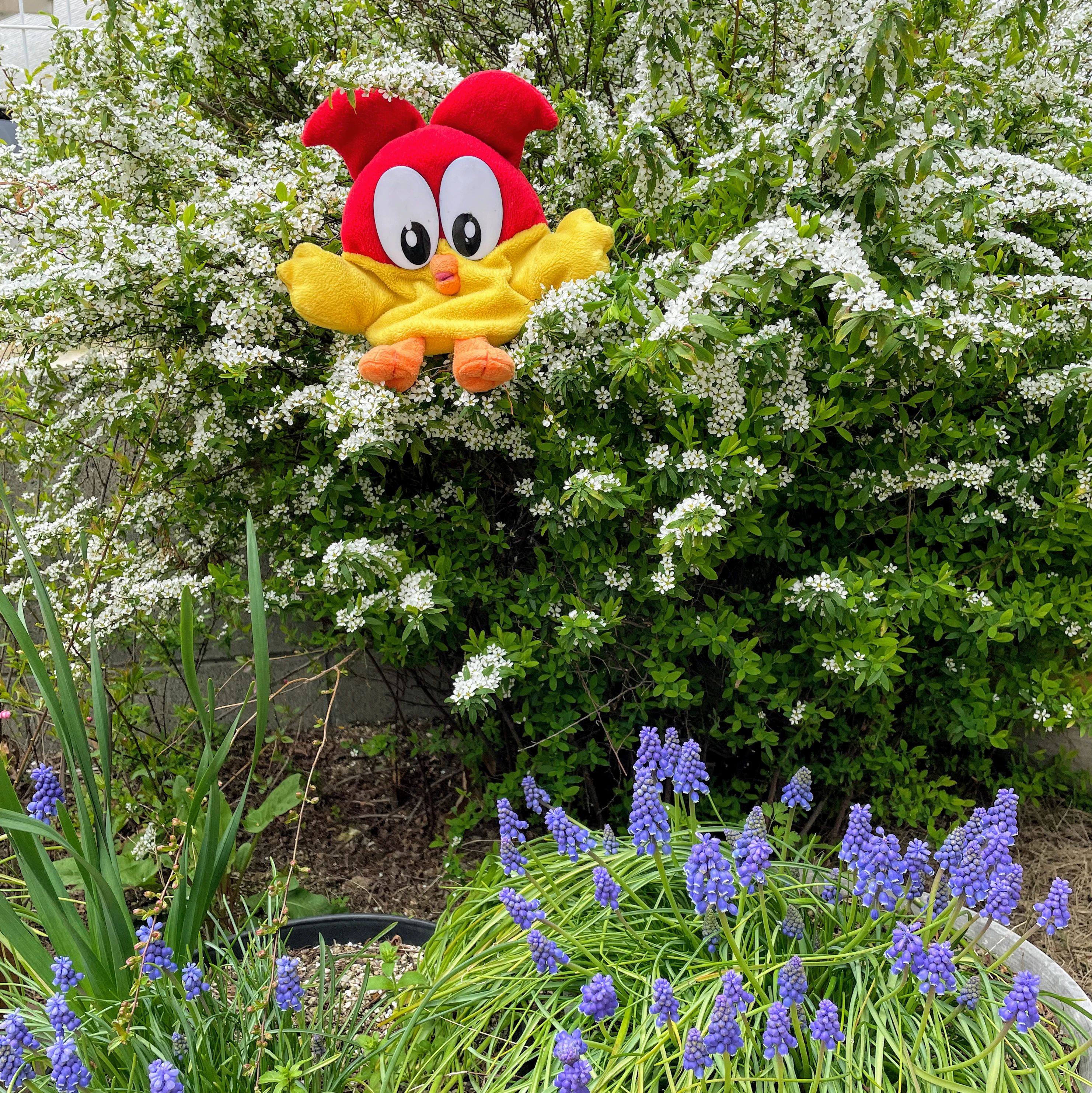 ベネッセの英語教室 BE studio（ホーム校） 倉敷上富井教室のメイン画像