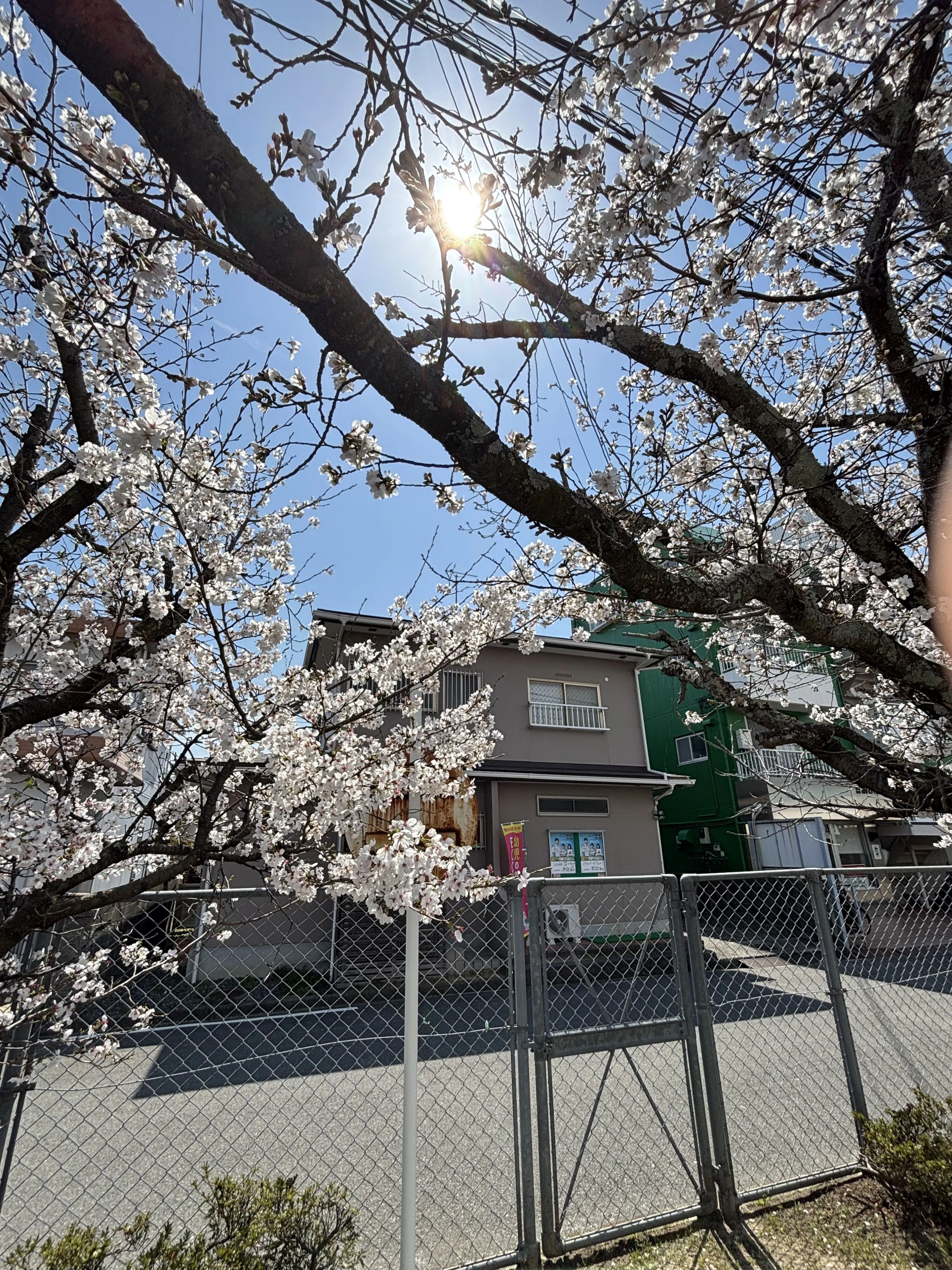 ECCジュニア 福音寺教室のサムネイル画像 4