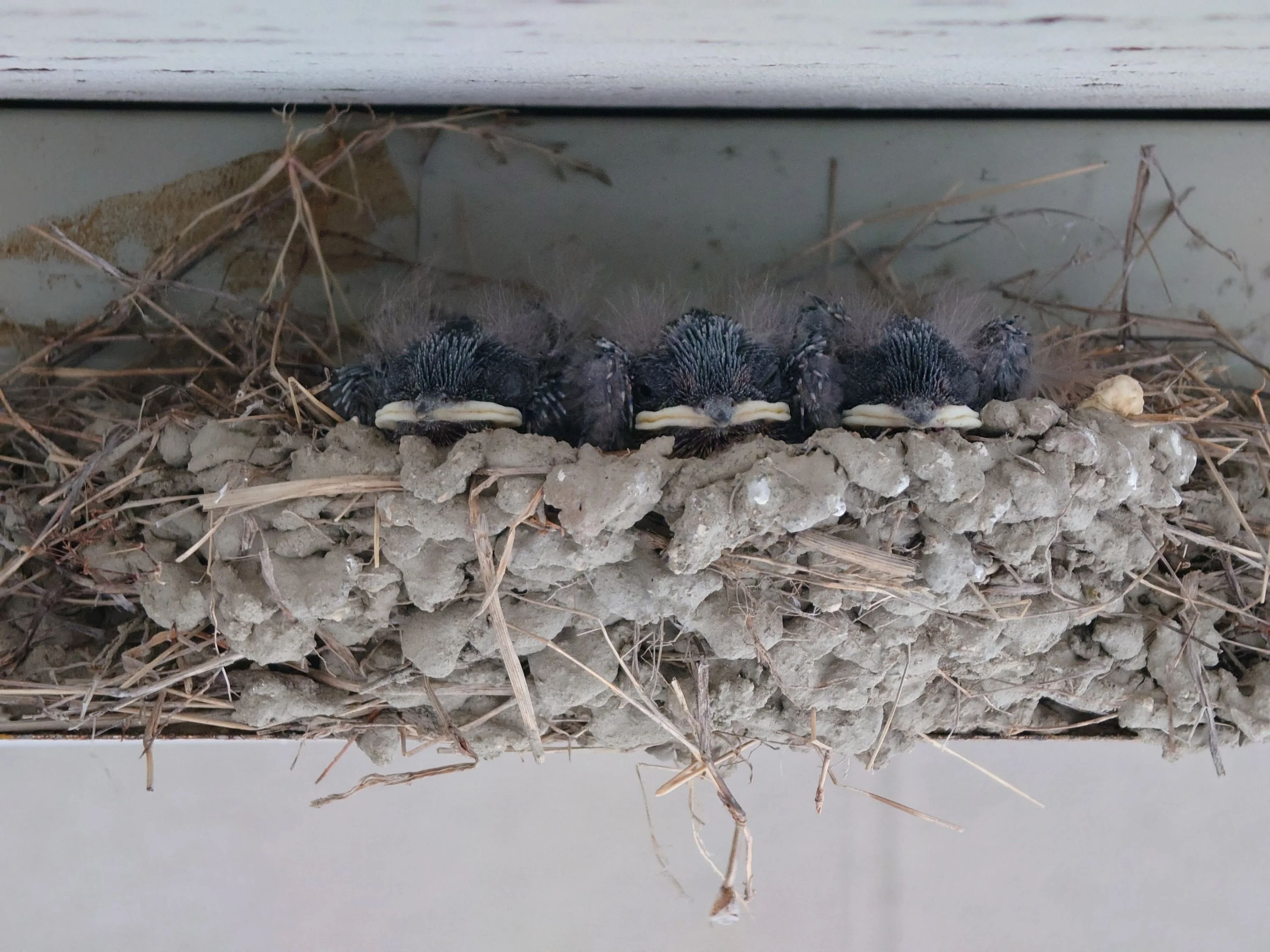 完全個別　松陰塾 尾道長江校のサムネイル画像 3