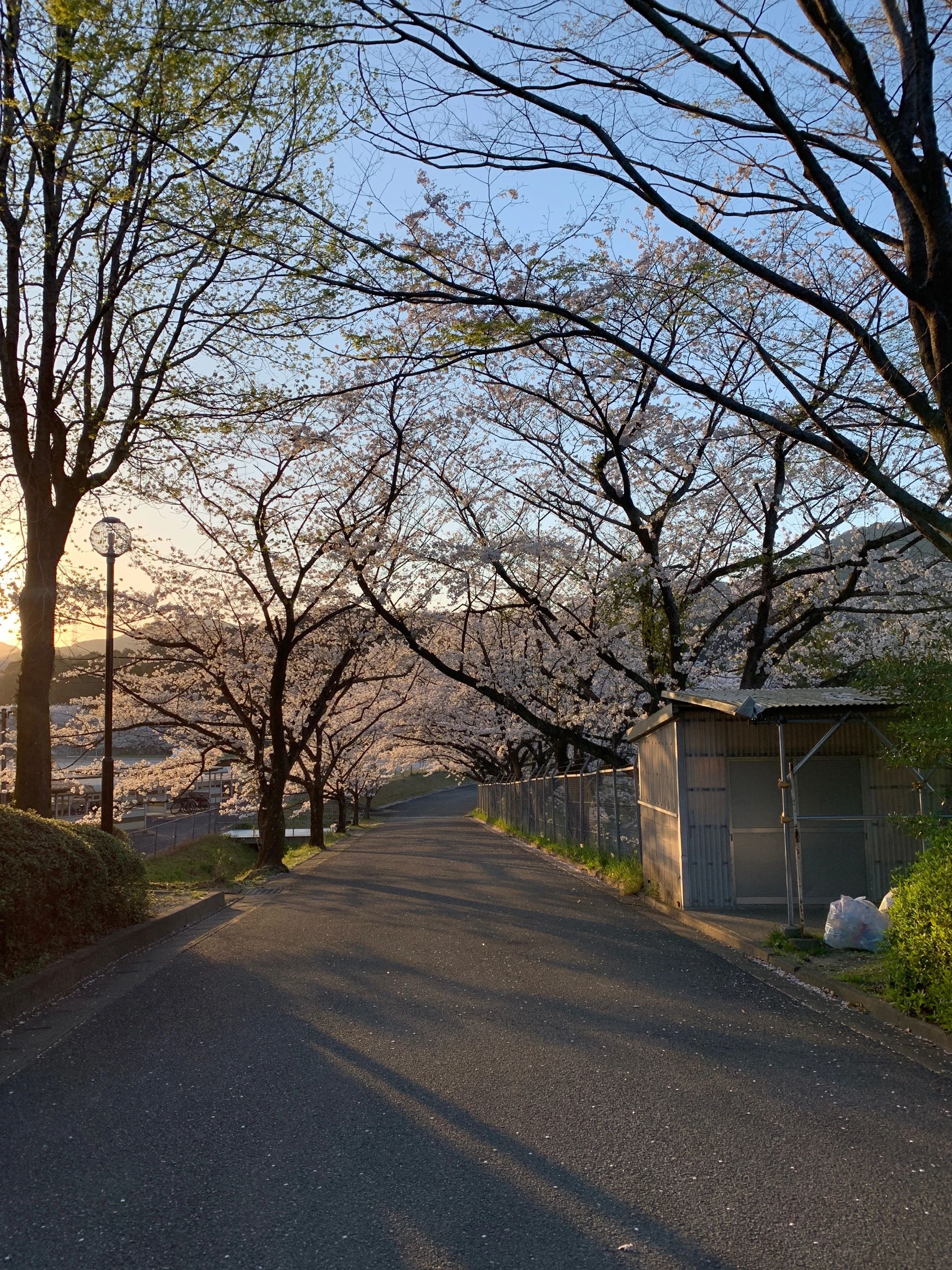 ＰＥＳ個人教育会株式会社 基山教室 東明館中学・高校在校生専門のサムネイル画像 2