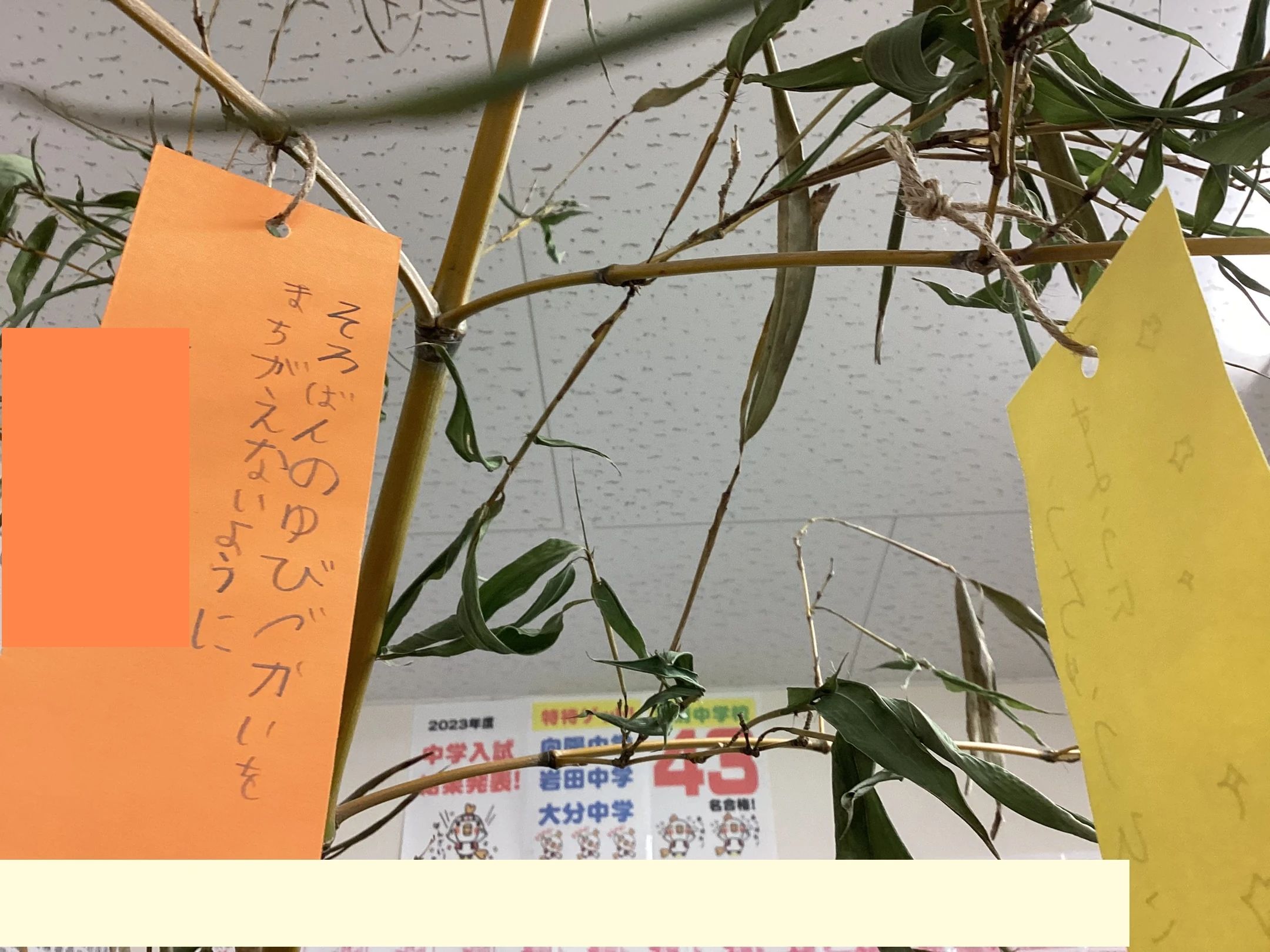 東セミ　情熱個別パッション 別府教室のサムネイル画像 5