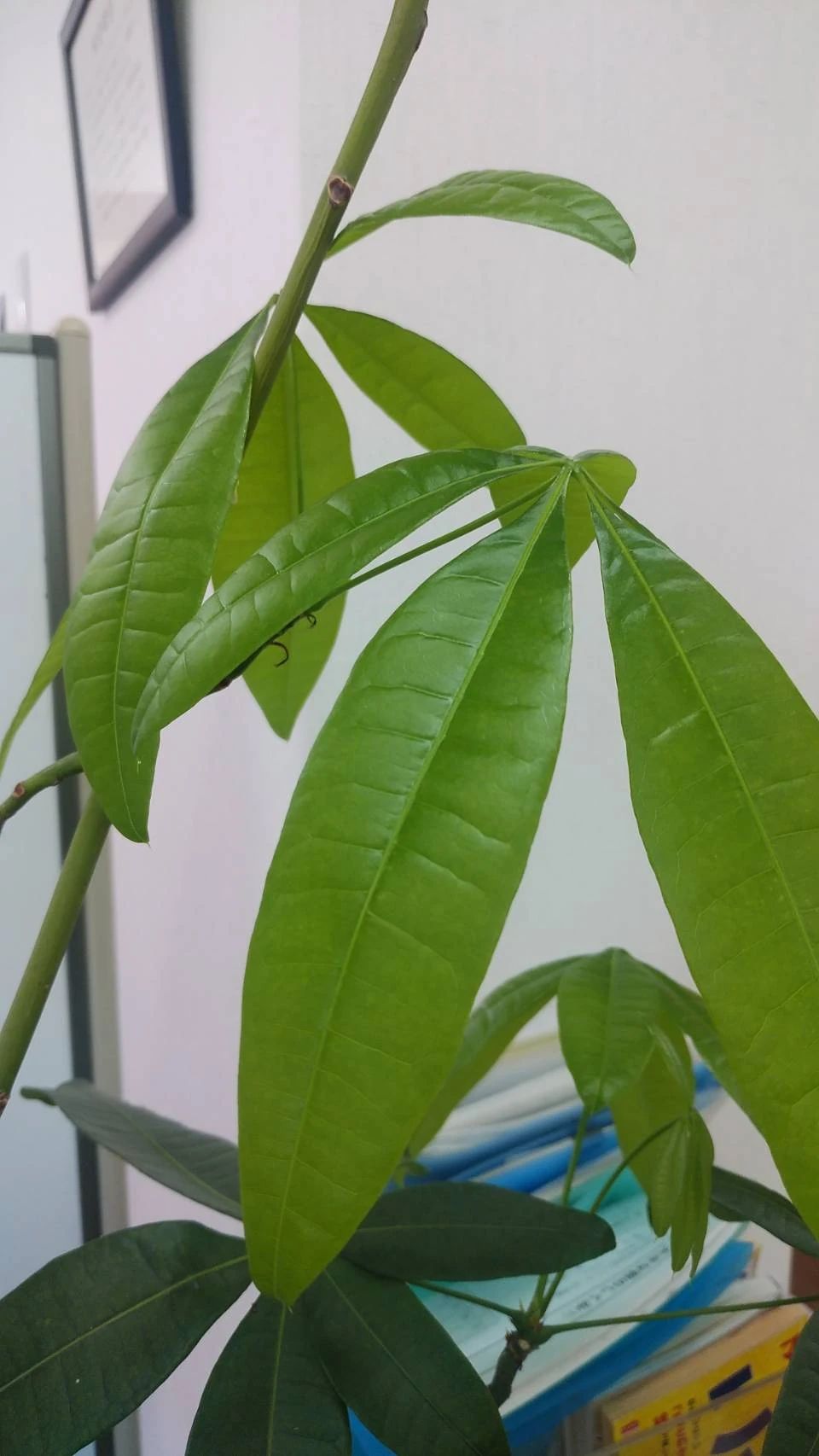 ライズ１ 高崎校のサムネイル画像 3