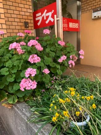 ライズ１ 稙田校のサムネイル画像 3