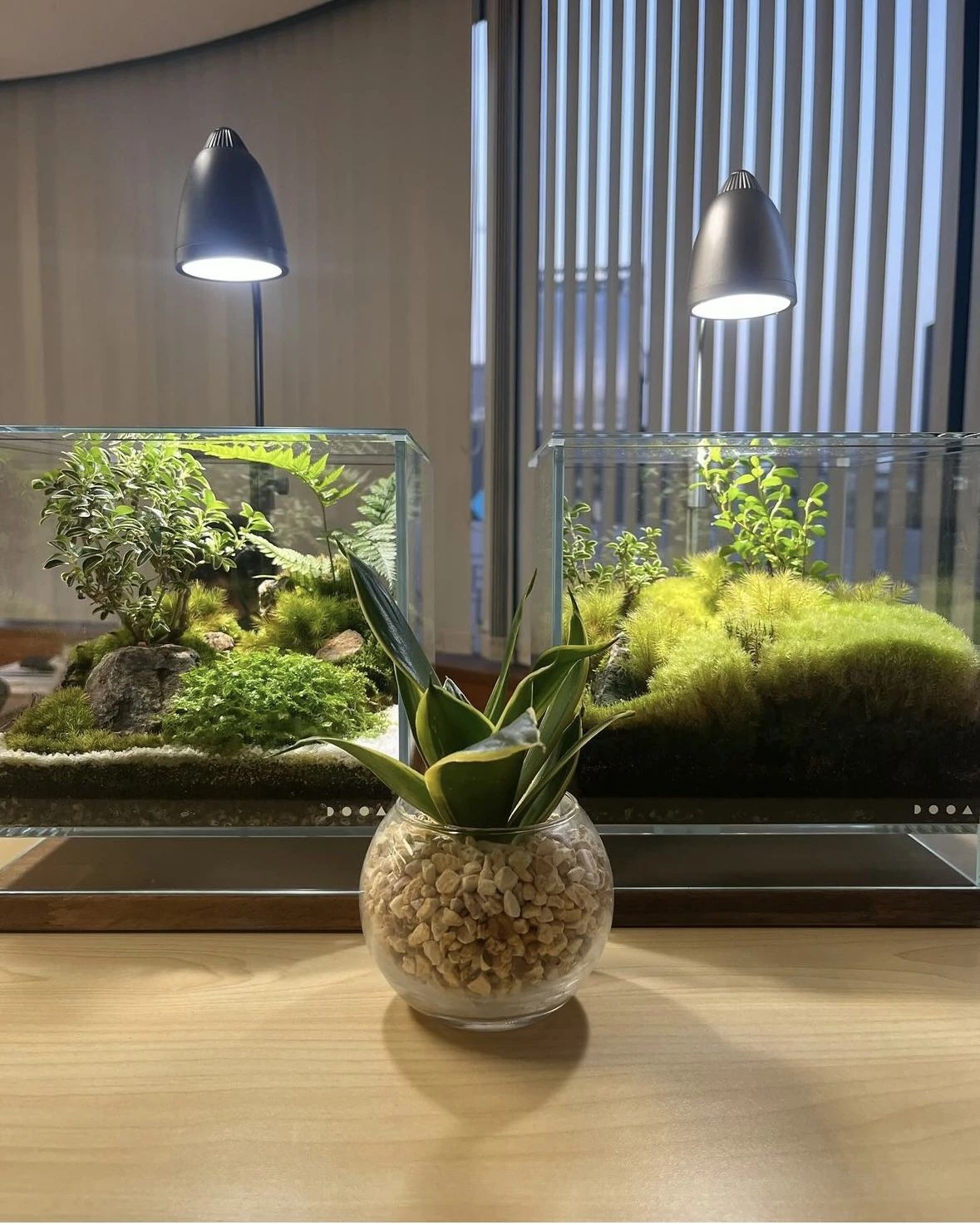 看護医療専門進学塾桜芽会のサムネイル画像 4