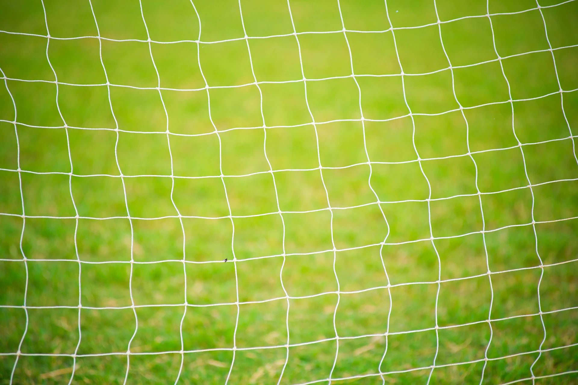 FC PHOENEX(フェニックス) SHINAGAWA 品川区立第四日野小学校のサムネイル画像 2