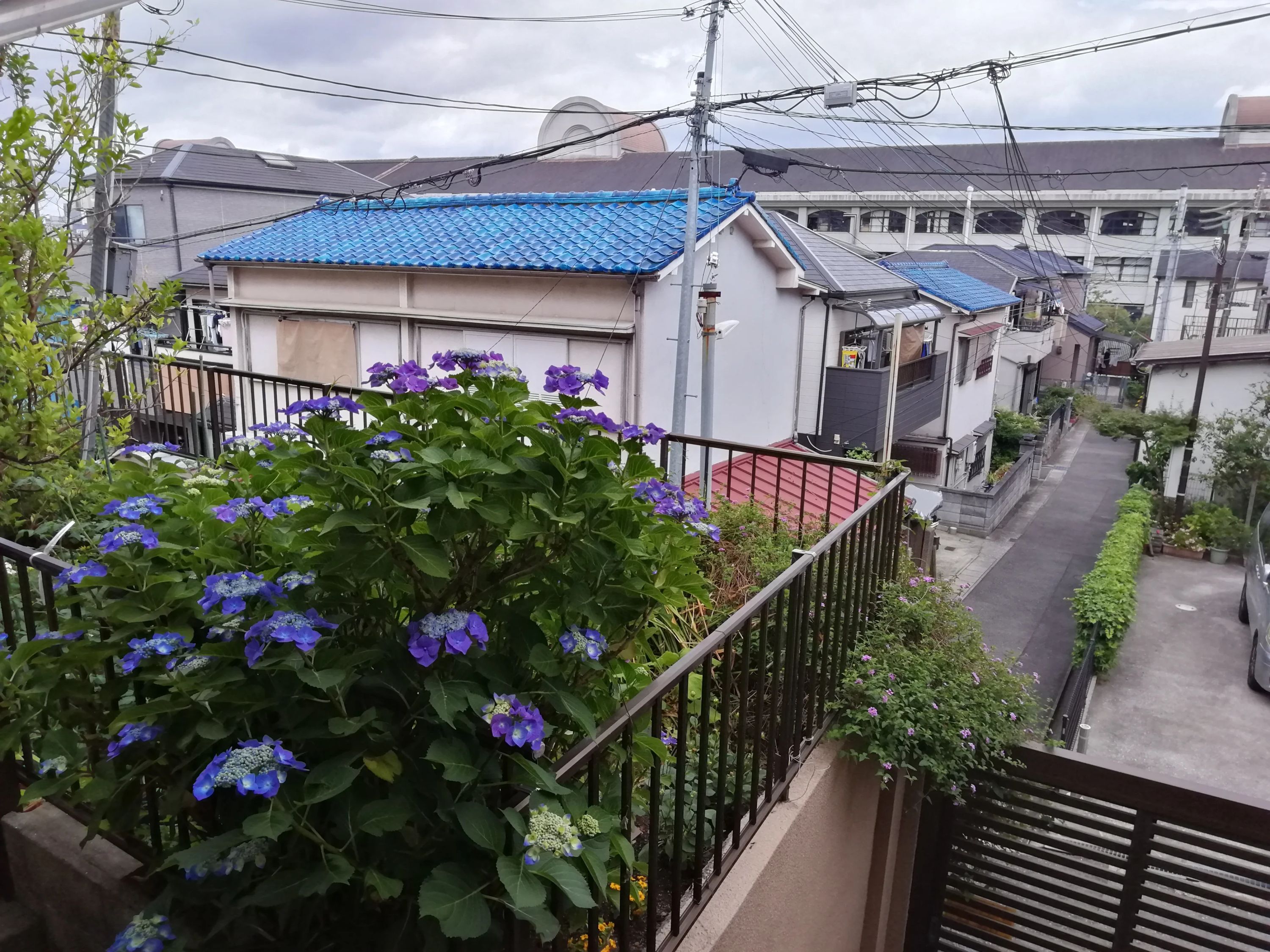 岳豊書道教室 長田教室のサムネイル画像 4