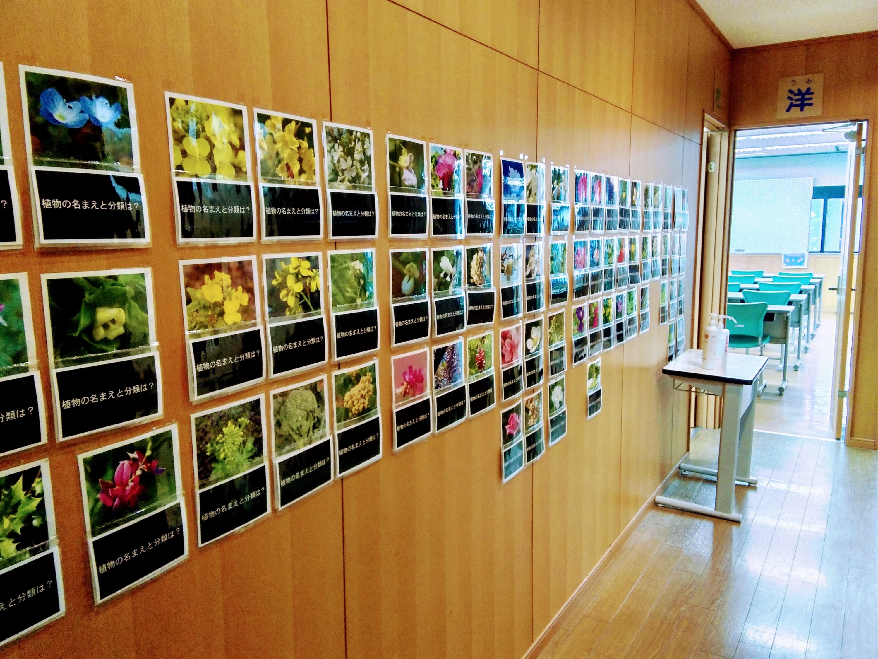 成基学園 ＳＳＳ（烏丸二条）のサムネイル画像 3