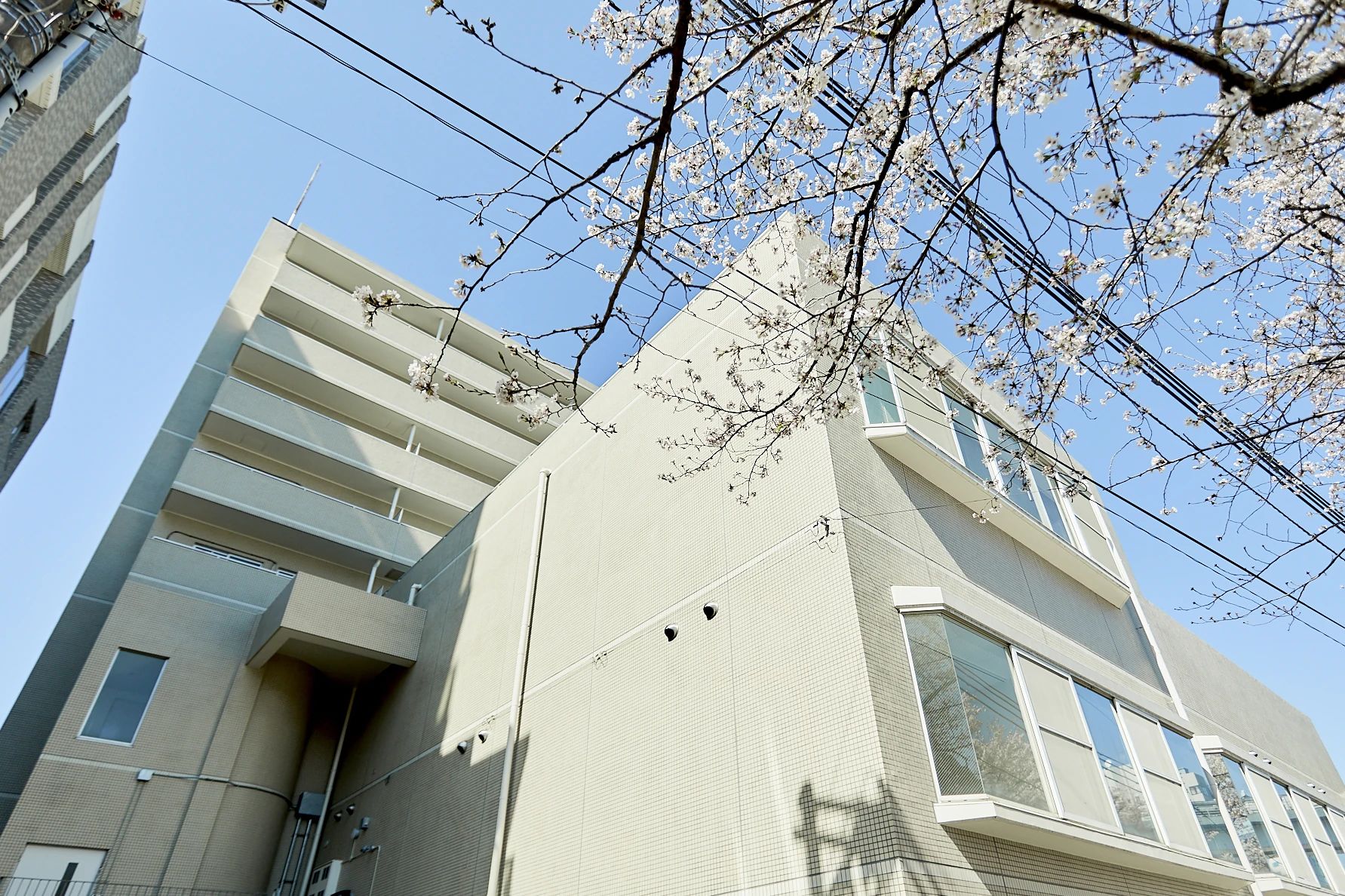 Wish ボーカルスクール 東京校のサムネイル画像 5