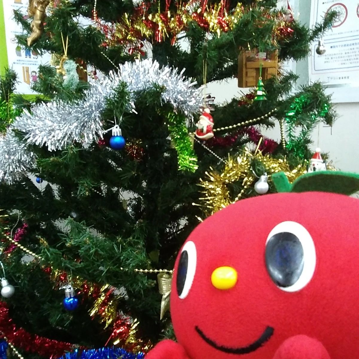 スガナミ楽器バイオリン教室 錦が丘ミュージックセンターのサムネイル画像 4