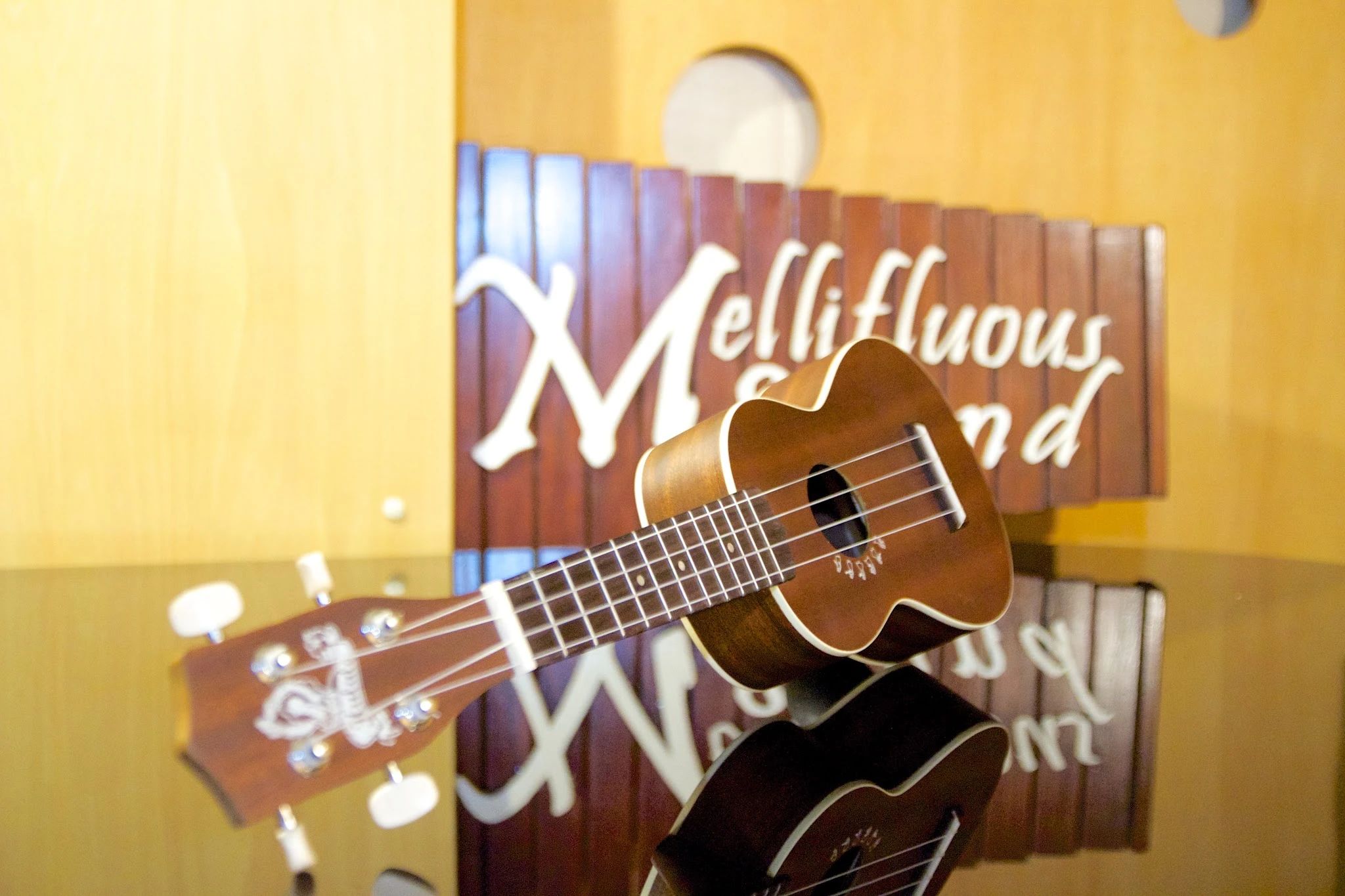 メリフラウズサウンド ウクレレ 桑園教室のサムネイル画像 5