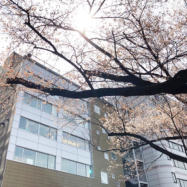 宮地楽器音楽教室 マリンバ教室 MUSIC JOY市ヶ谷のサムネイル画像 3