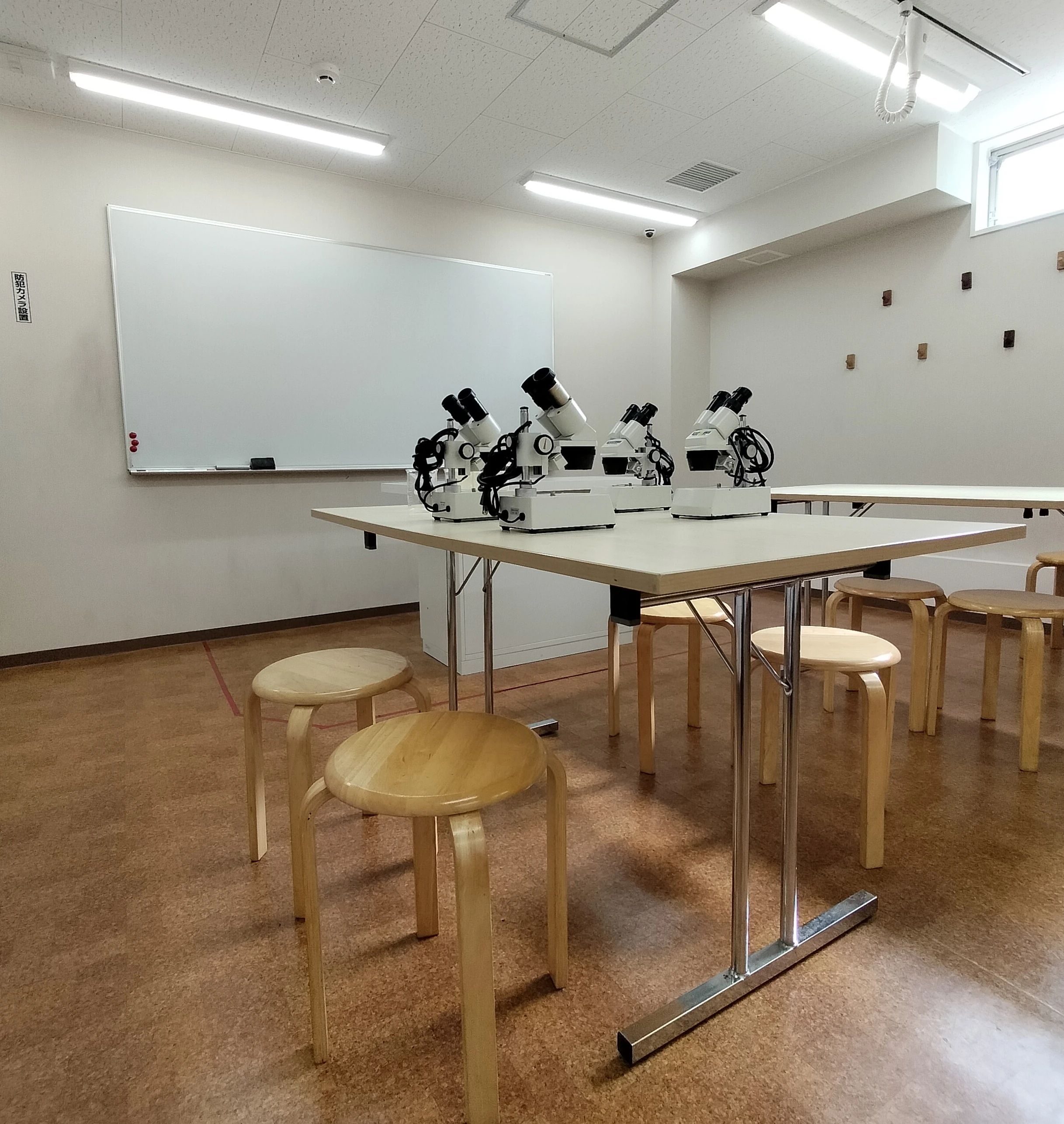 ベネッセサイエンス教室 用賀教室のメイン画像