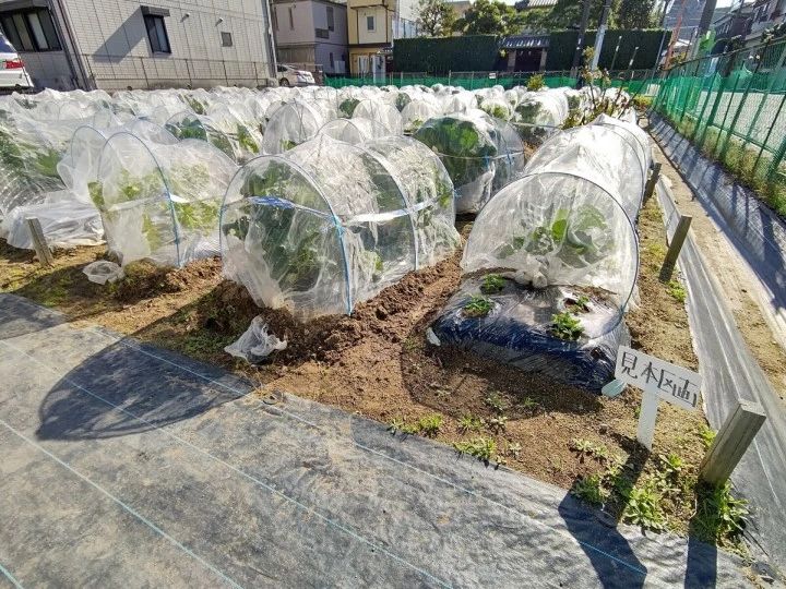 シェア畑 武庫川のメイン画像