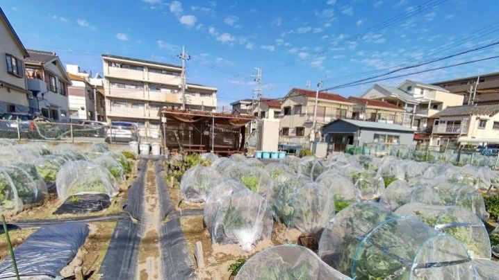 シェア畑 武庫川のサムネイル画像 3