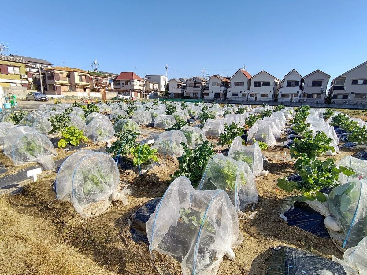 シェア畑 伊丹昆陽里のメイン画像