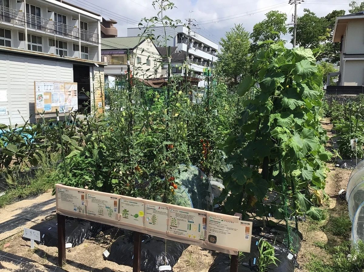シェア畑 武庫大橋のメイン画像