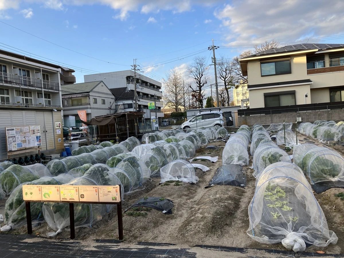 シェア畑 武庫大橋のサムネイル画像 2
