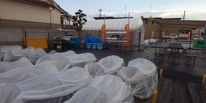 明石太寺体験ファームのメイン画像