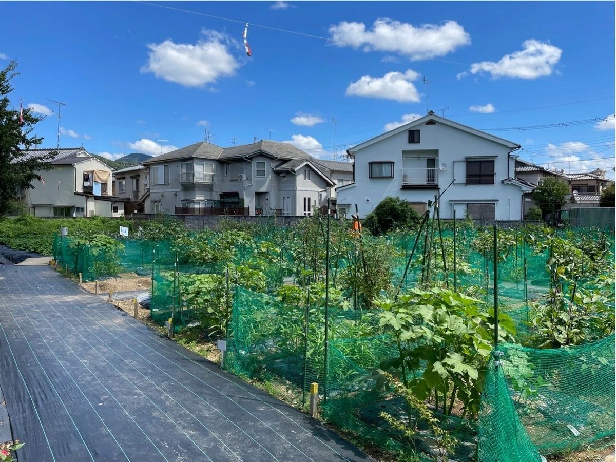 シェア畑 嵯峨嵐山のサムネイル画像 2