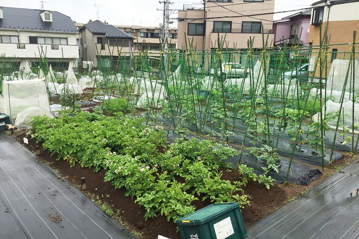シェア畑 宮前平のサムネイル画像 3