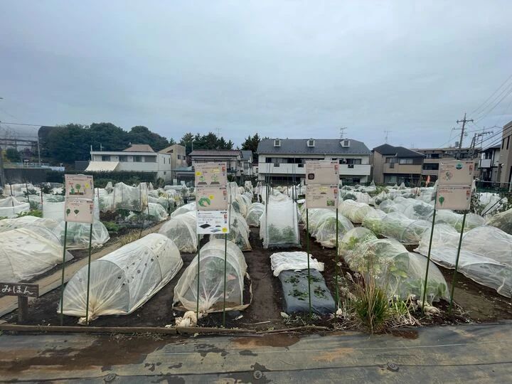 シェア畑 宮前平のサムネイル画像 5