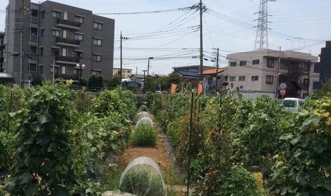 シェア畑 武蔵中原のメイン画像