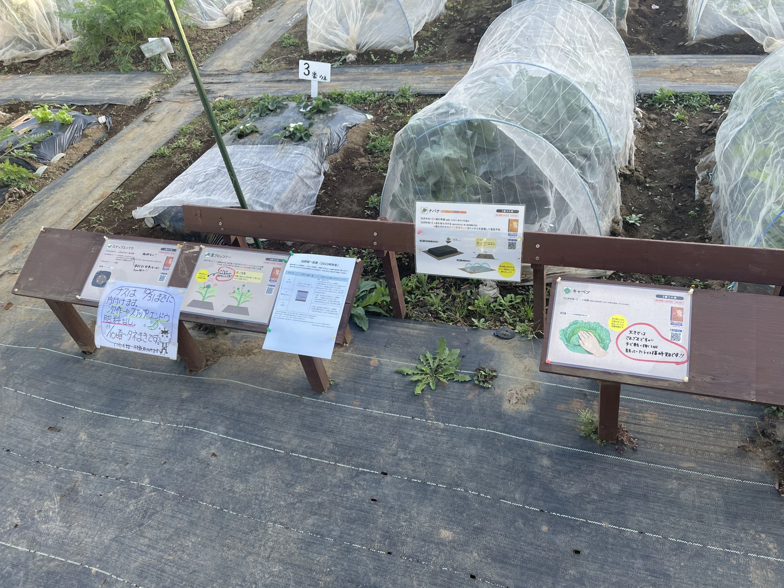 シェア畑 武蔵中原のサムネイル画像 5