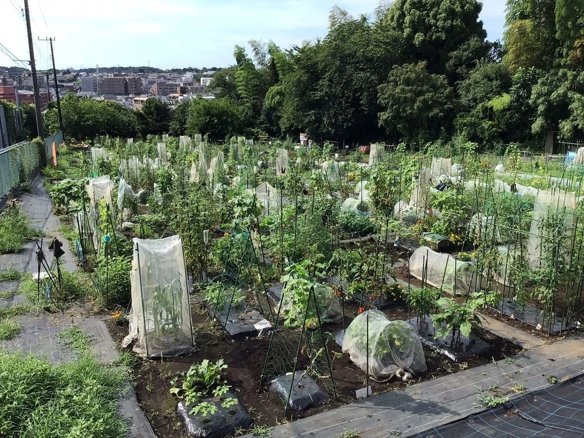 シェア畑 二俣川のメイン画像