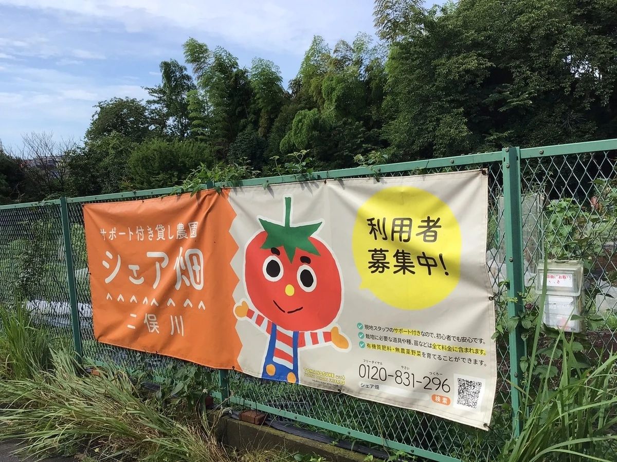 シェア畑 二俣川のサムネイル画像 3