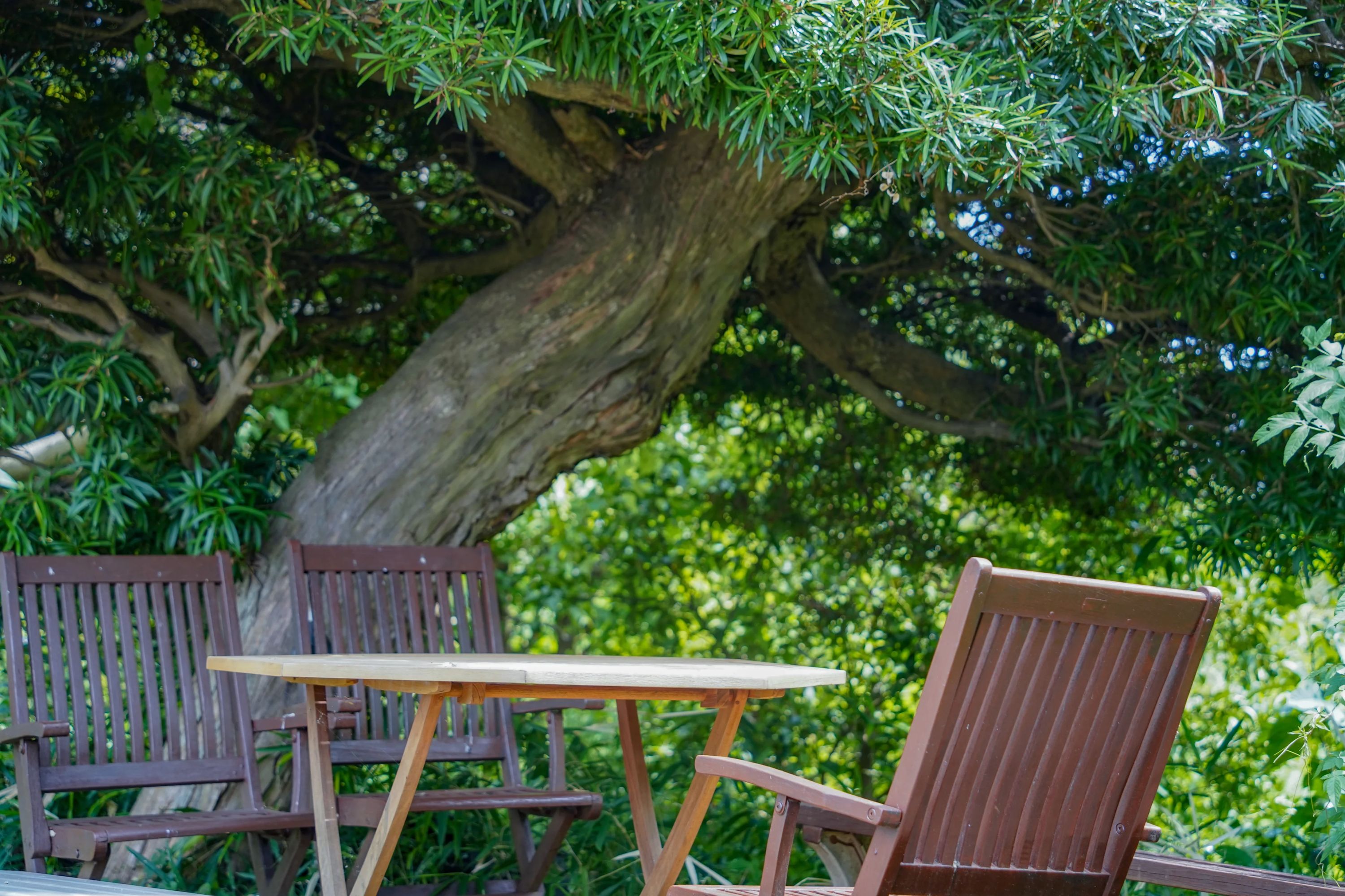 シェア畑 二俣川のサムネイル画像 4