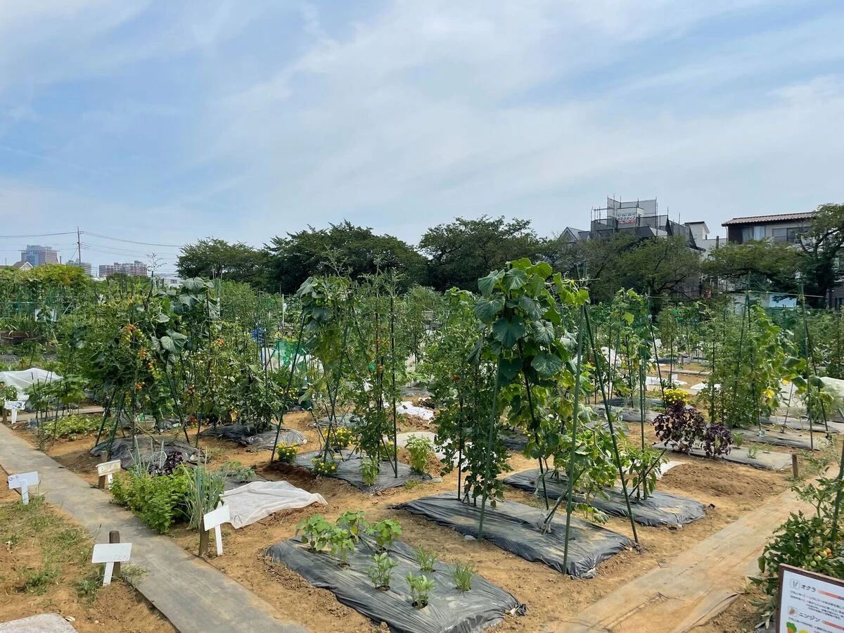 シェア畑 さいたま与野のメイン画像