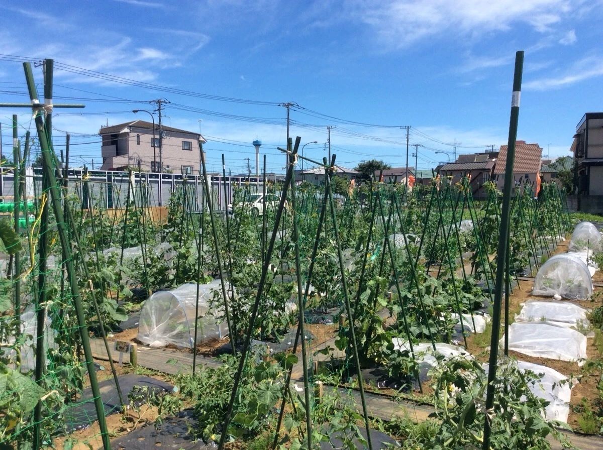 シェア畑 大宮堀の内のサムネイル画像 2