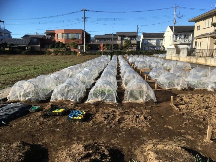 シェア畑 大宮堀の内のメイン画像