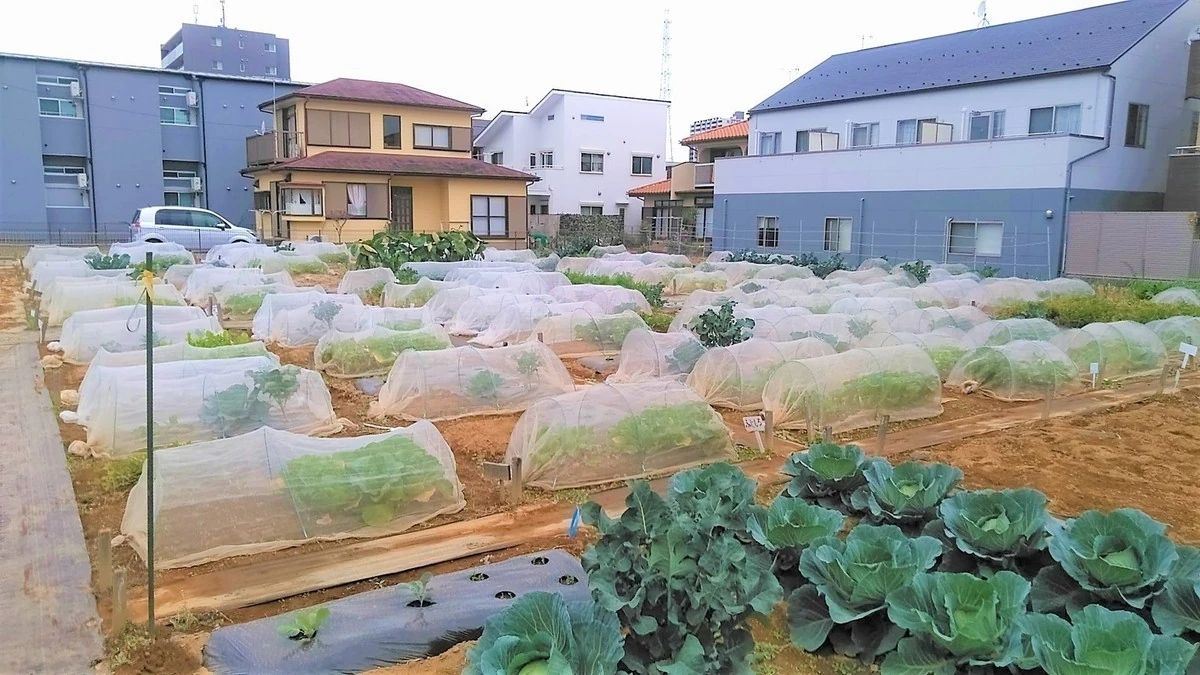 八潮駅サウスファームのメイン画像