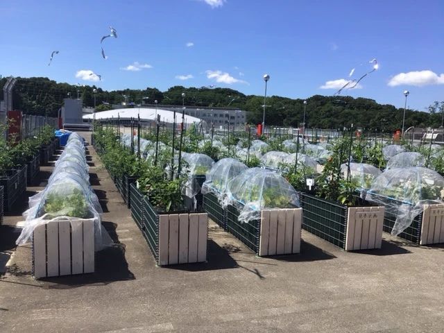 シェア畑garden 星が丘のメイン画像