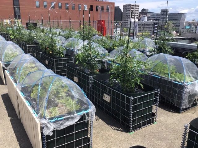 シェア畑garden 星が丘のサムネイル画像 2