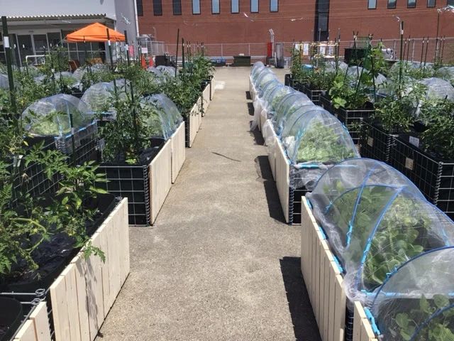 シェア畑garden 星が丘のサムネイル画像 3